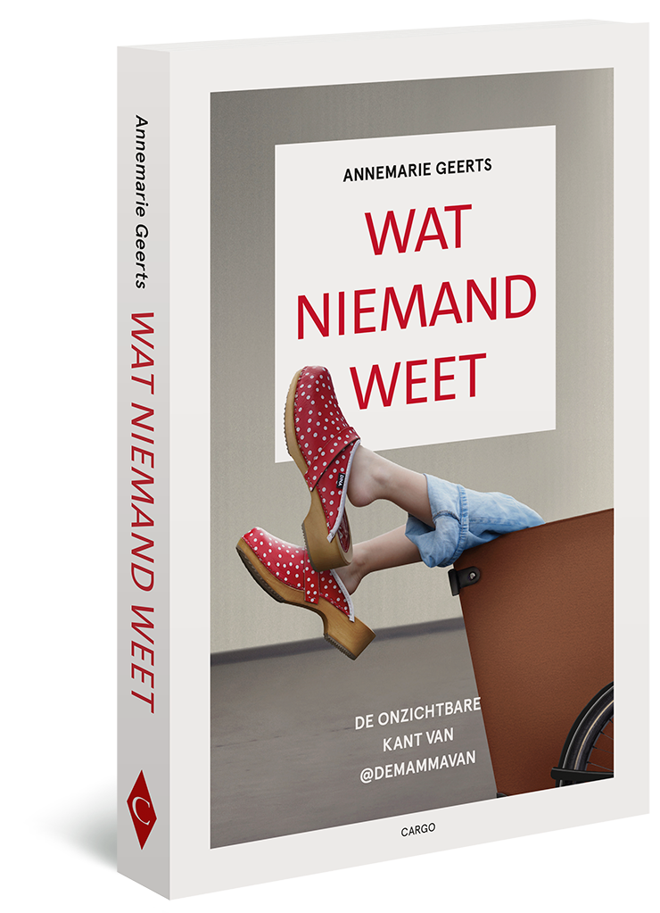 Wat niemand weet - Annemarie Geerts