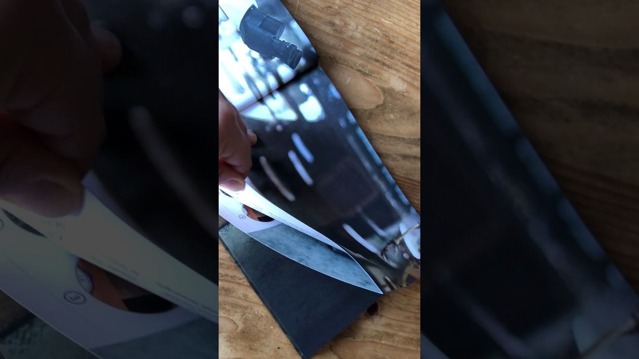 De schaduw van de raaf - Eva Eich - Cargo