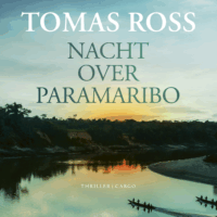 Nacht over Paramaribo - Tomas Ross