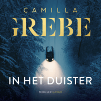 In het duister - Camilla Grebe