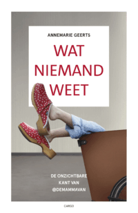 Wat niemand weet - Annemarie Geerts